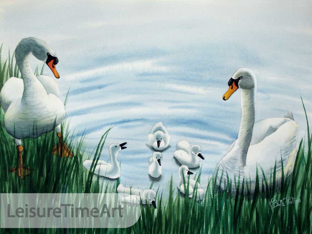 Swan Family Original Watercolor