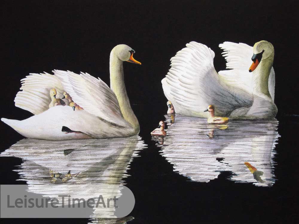 Swans Giclee Watercolor Reproductions