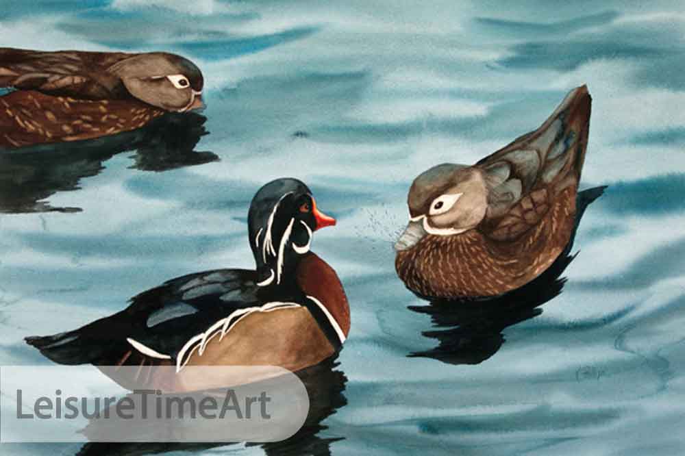 Wood Ducks Original Watercolor